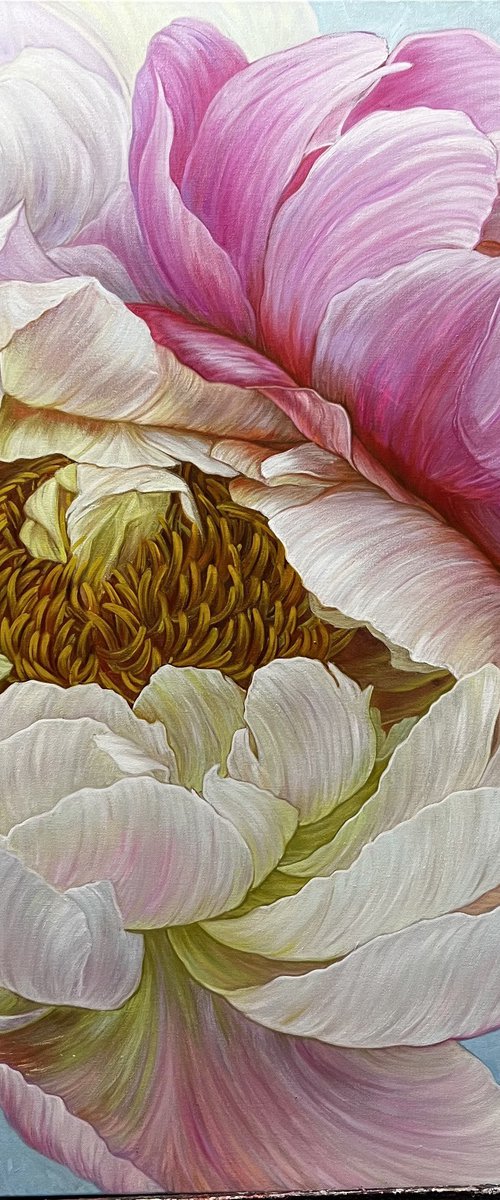 A pair of peonies in a delicate color by Elena