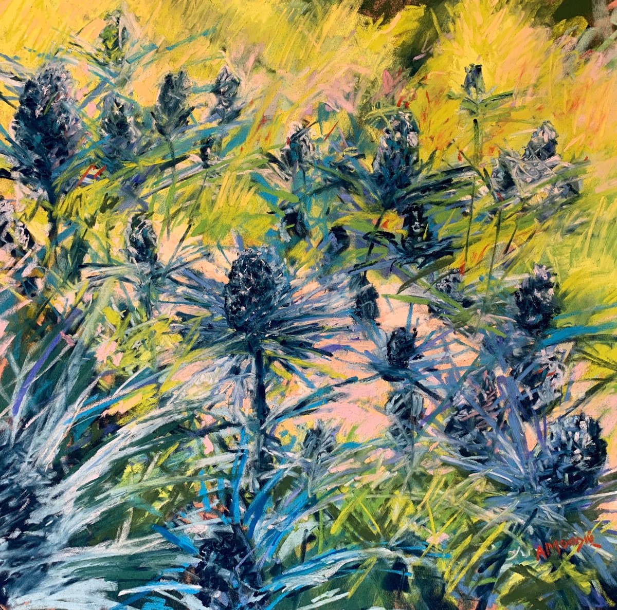 Thistles by Andrew Moodie