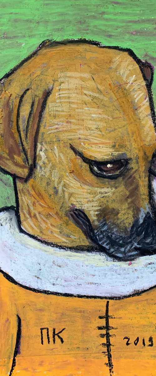 Fashion dog #12 by Pavel Kuragin