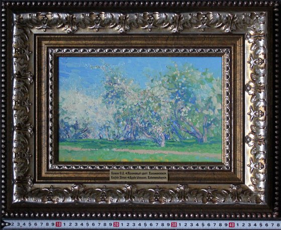 Apple blossom. Kolomenskoye