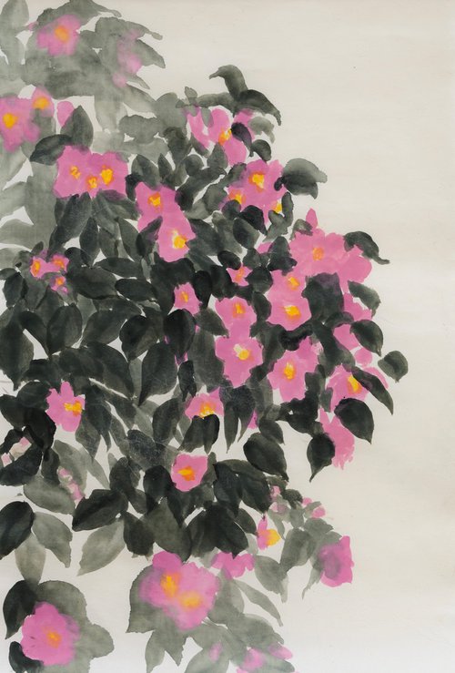 Camellia Japonica by Anne  McKenzie