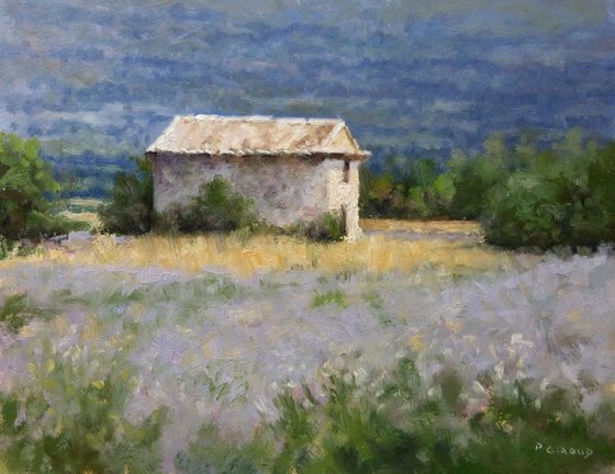 Shed in a Lavender Field