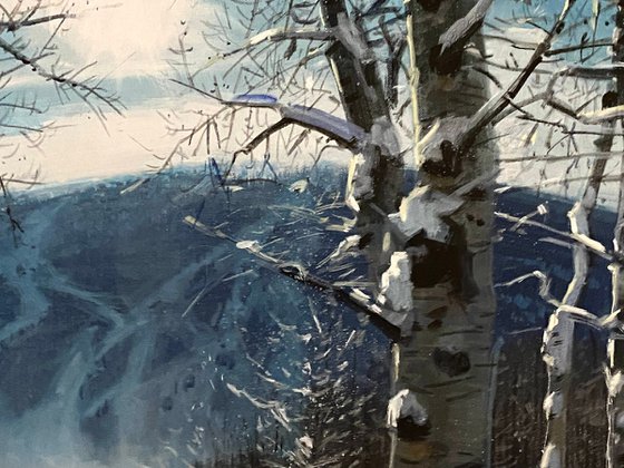 Light in the Snowy Forest