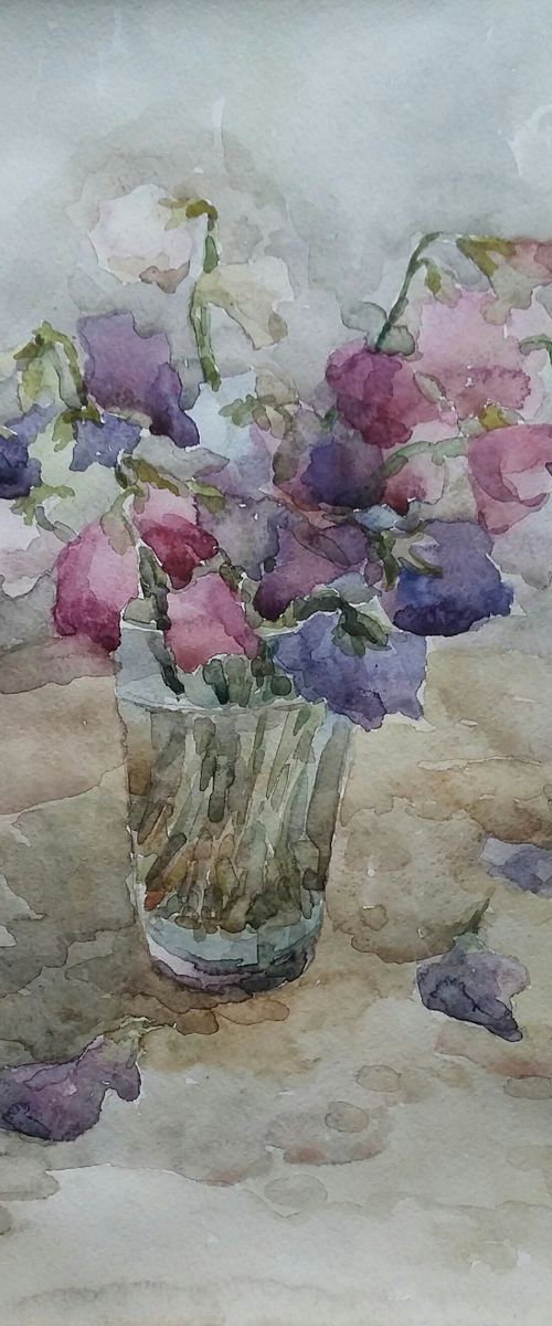 Sweet pea. Original watercolour painting. 2019 by Elena Klyan