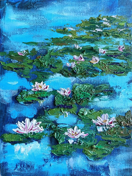 Pond ... Water Lilies