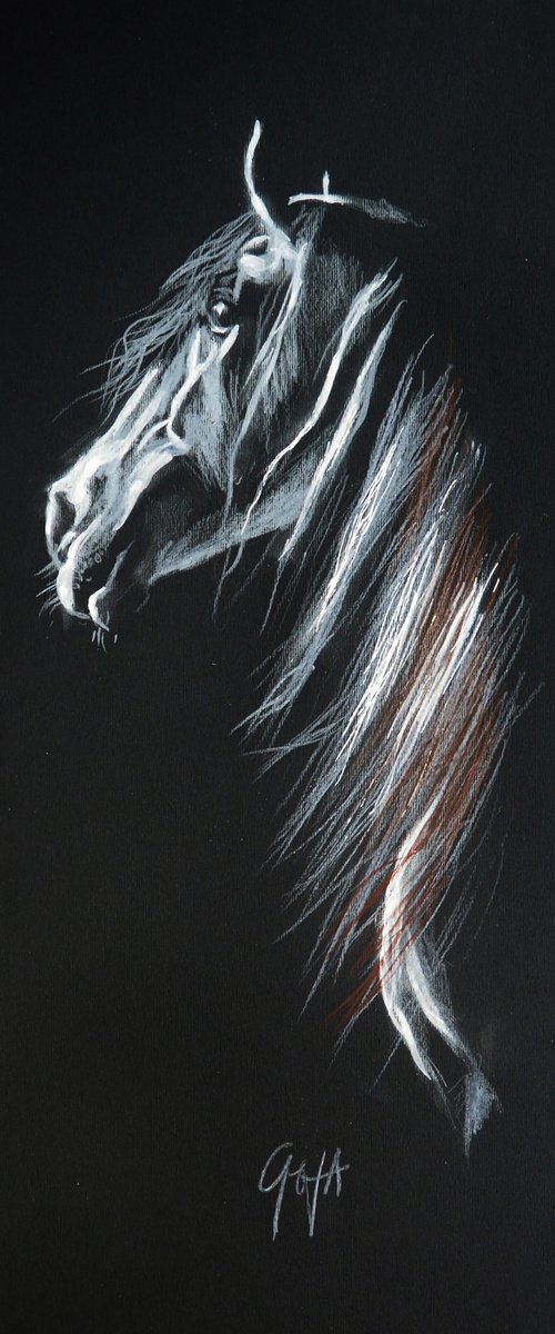 HORSE by Nicolas GOIA