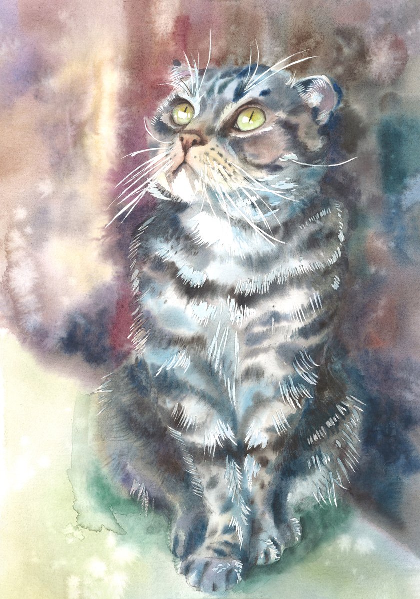 Impressionistic Animal Watercolour By Sonata Art, 16 X 20", Scottish Fold Cozy Cat, Original Artwork