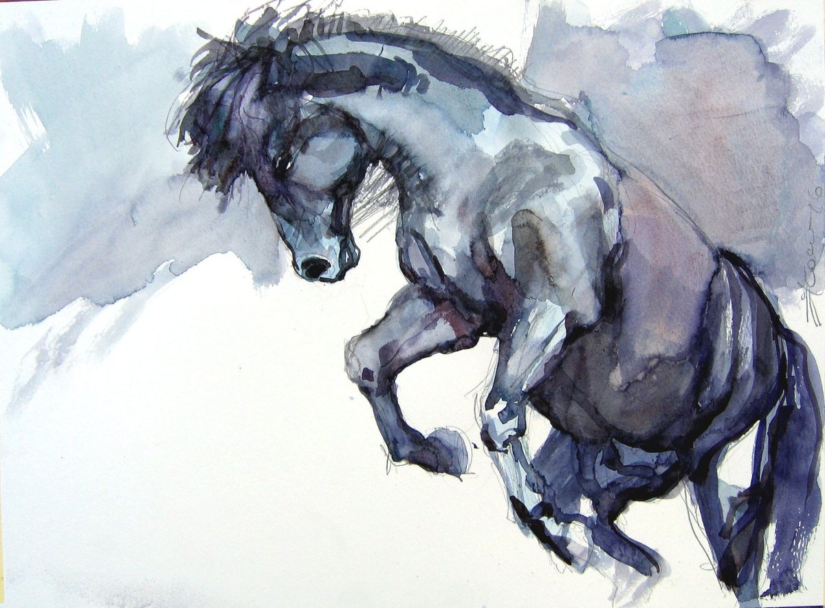 Animal Watercolour By Goran Zigolic Watercolors, 20 X 14, Black Stallion 3, Original Artwork