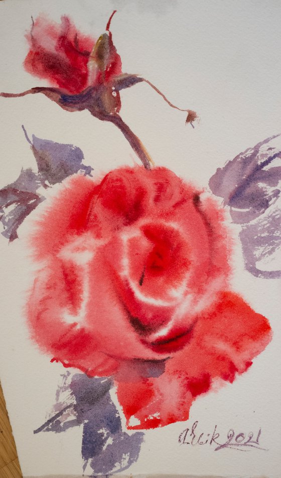 Red rose painting. Passion flower.