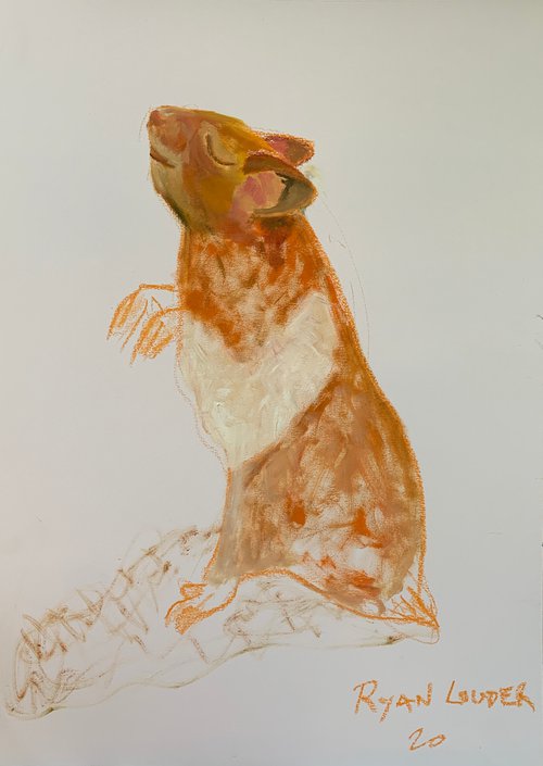 The Hamster Who Liked To Dance 17x24 by Ryan  Louder