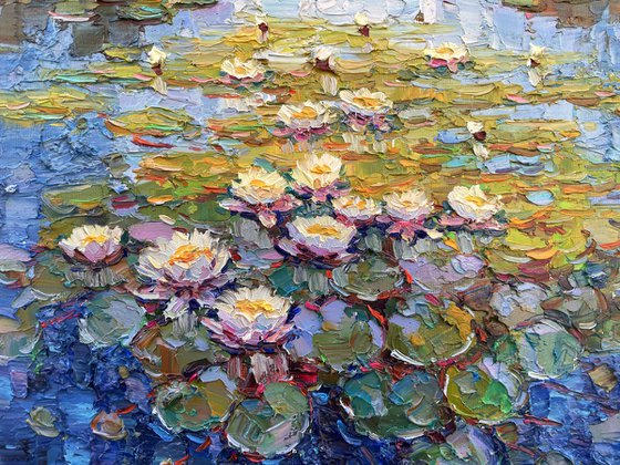 "Water lilies"