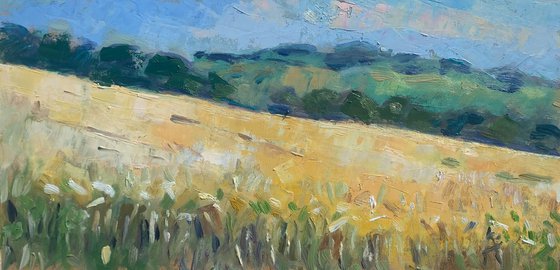 Golden Field