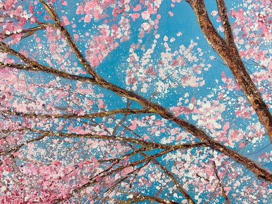 Cherry Blossom Season