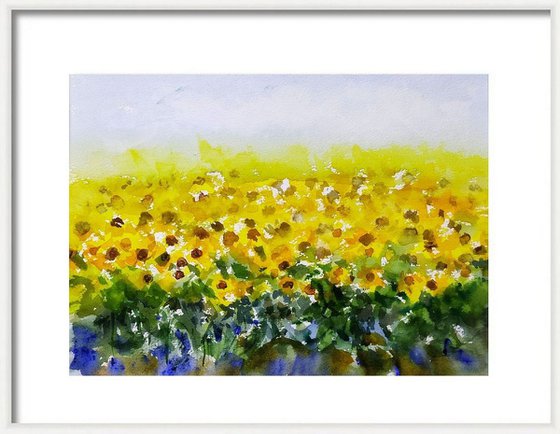 Set of water lilies and sunflower fields