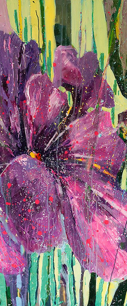 'iris' by Ewa Czarniecka