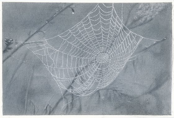 Spiderweb: Lace Doily