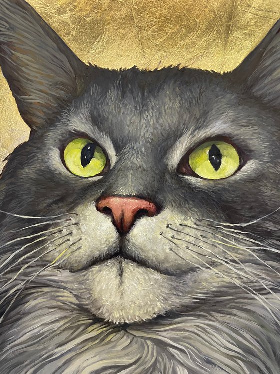 Maine Coon Simon