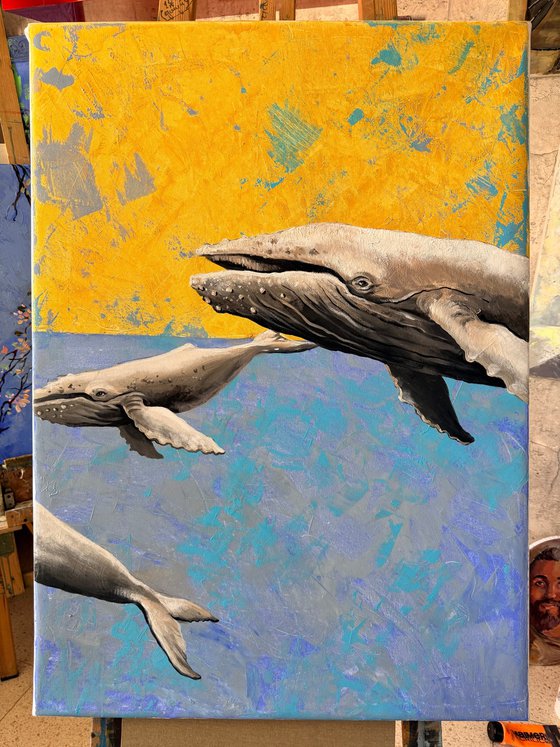 Whales and the Sun