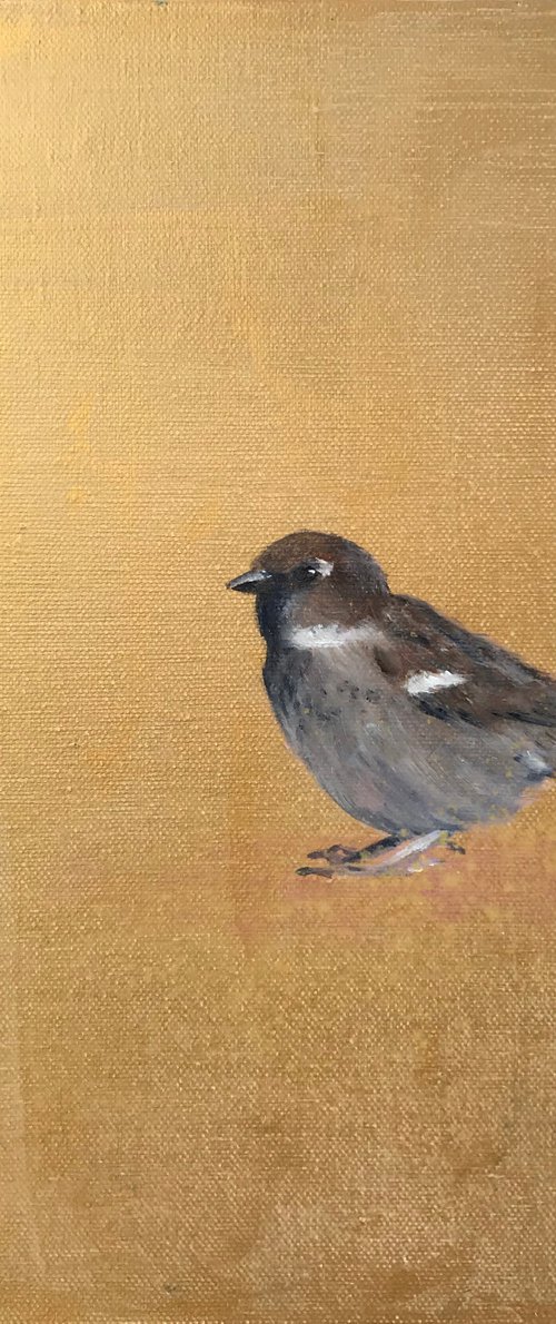 Old World Sparrow by Laure Bury