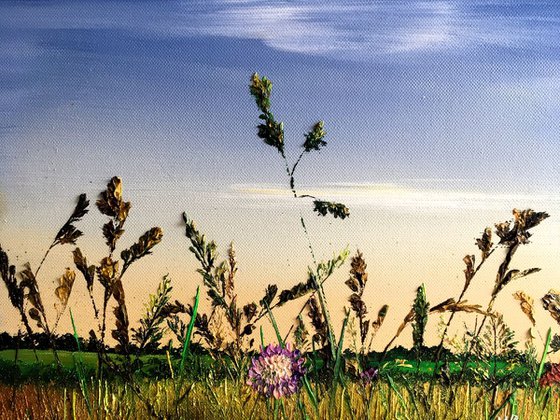 Sunny day in Suffolk