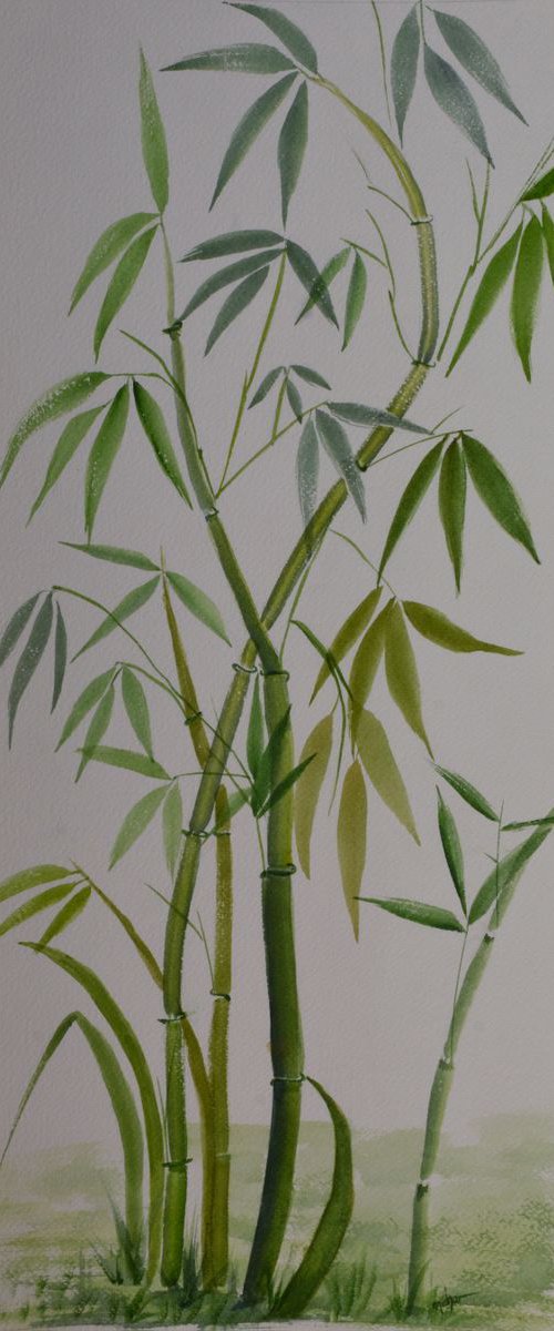 Bamboo by Neha Soni