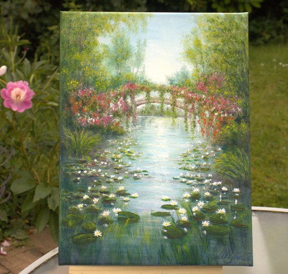 Water lily pond