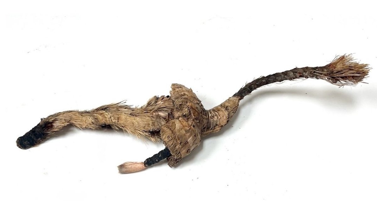 Expressive Wood Sculpture , Sea Dragon By Eleanor Gabriel, 5 X 2, Artwork For Sale On Artfinder
