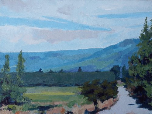 Taieri towards the Areo club by Baden French