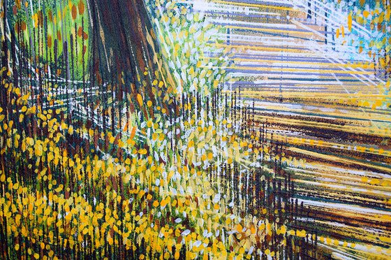 Sunlight Through Autumn Trees