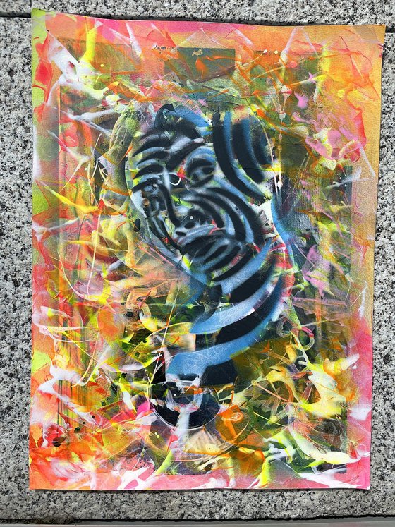 Women 004