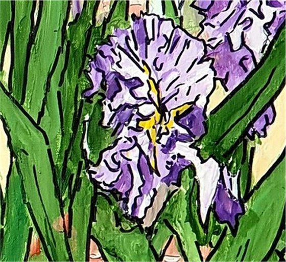 irises 6