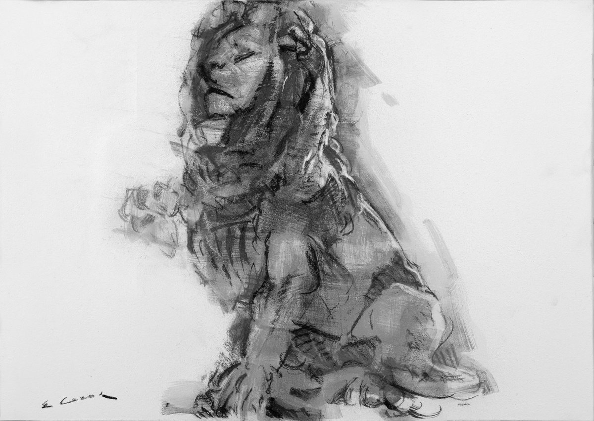 Expressive Charcoal Drawing , Lion By Eugene Segal, 28 X 20, Artwork For Sale On Artfinder