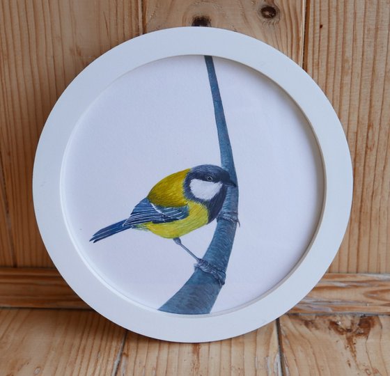 Framed Bird art. Great tit. Part 5