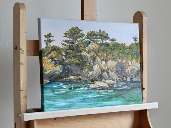 Coastal Harmony