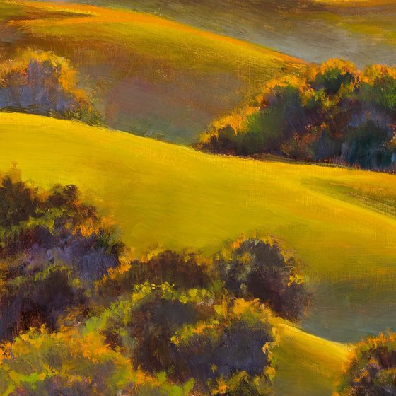 'Golden hills'