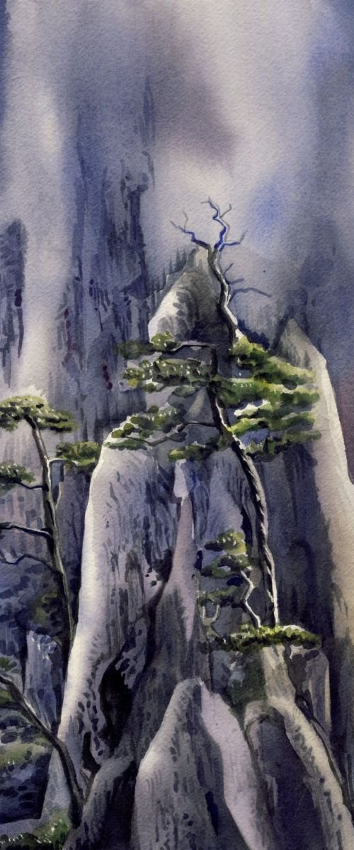 The trees on the mountain by Alfred  Ng