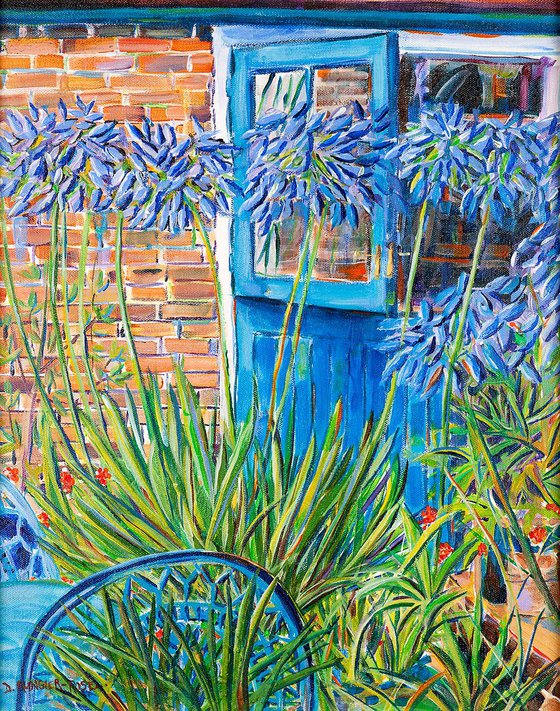 AGAPANTHUS BY THE BLUE DOOR