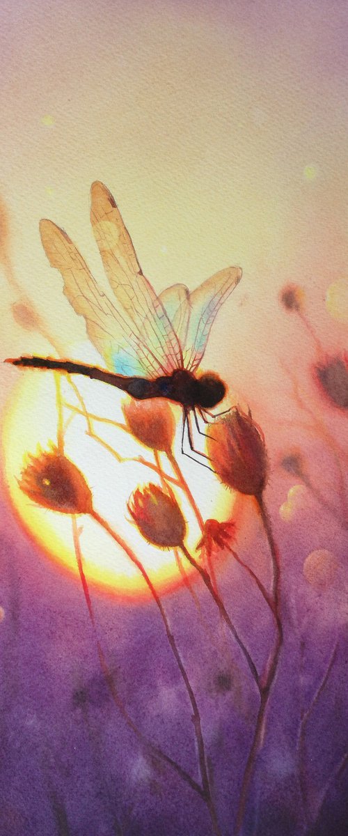 Dragonfly on the sunset by Olga Beliaeva Watercolour