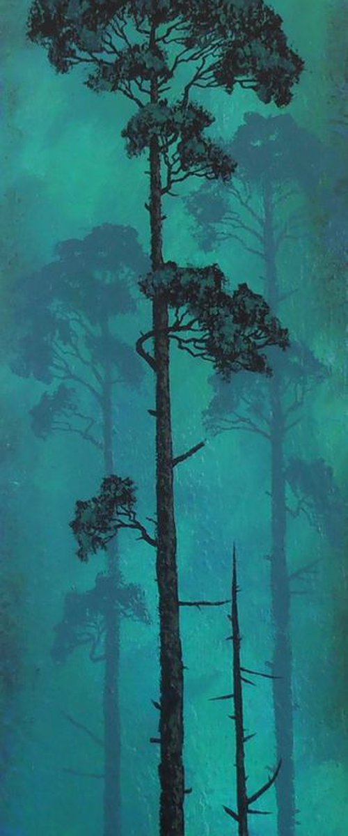 Illuminated Pine by Anthony Al Gulaidi