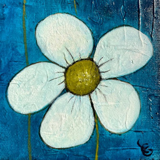The blue daisies