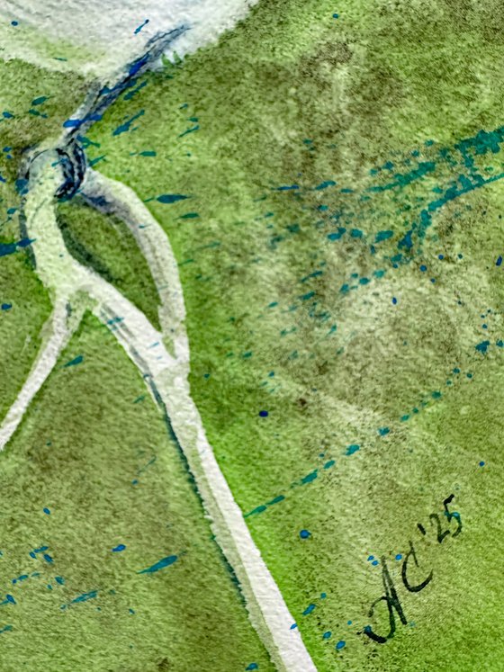 Birds: Canary and Fairywren