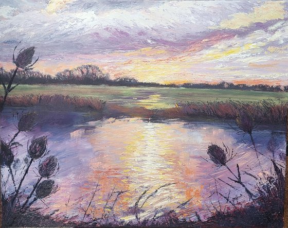 Evening Light