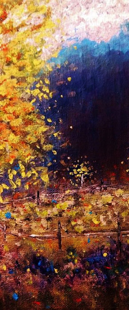 Lost in Fall... by Cristina Mihailescu