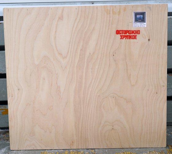 The prince and Rapunzel at the castle