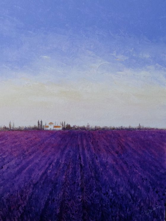 A Lavender Day