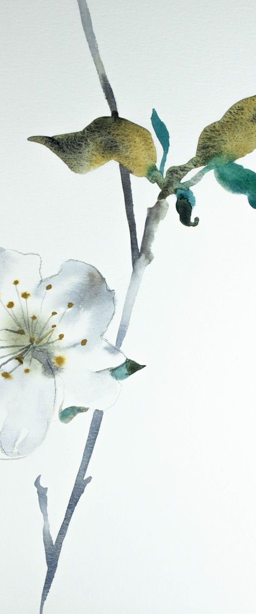 Cherry Blossom No. 5 by Elizabeth Becker