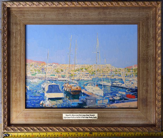 Yachts in the port Costa