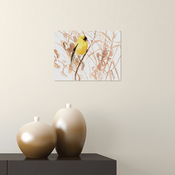 American Goldfinch  and dry  field plants