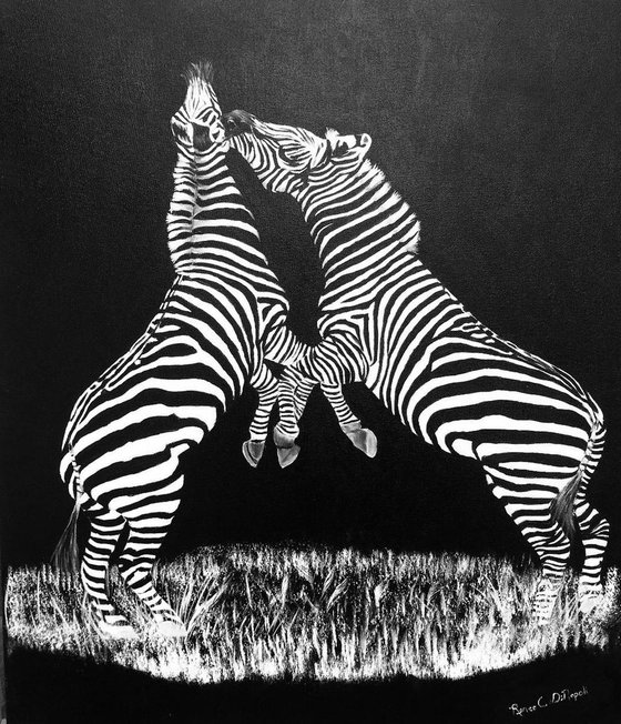 [RESERVED] Zebras in Black and White