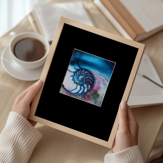 Nautilus Shell 70